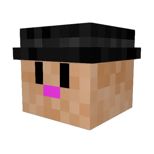 DavTo20 Minecraft avatar head, 3D render