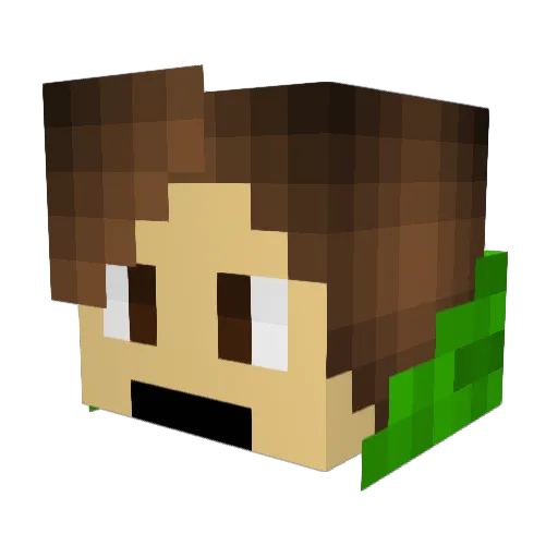 DavYouTube Minecraft avatar head, 3D render