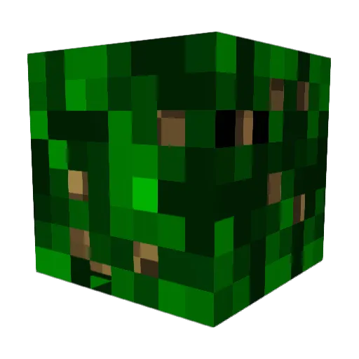 Dav_Dav_22 Minecraft avatar head, 3D render