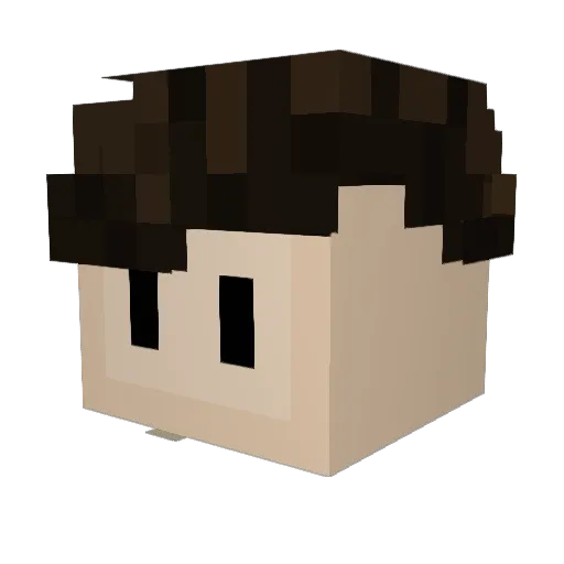 Dave427 Minecraft avatar head, 3D render