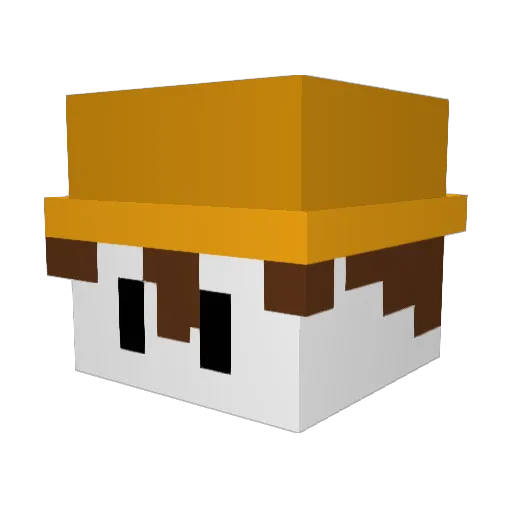DaveDasMusicas Minecraft avatar head, 3D render