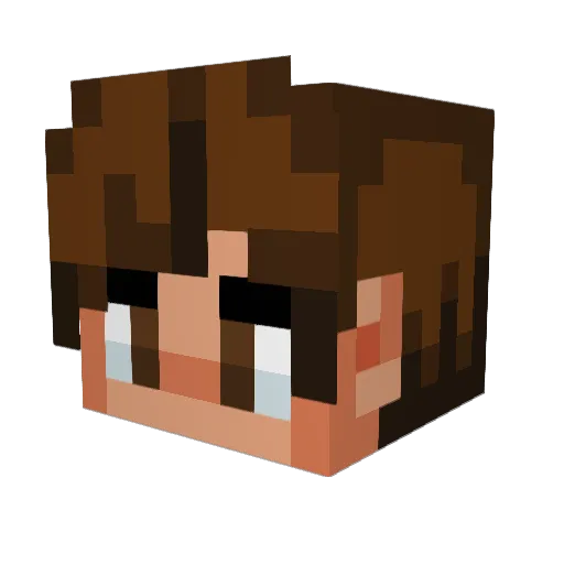 DaveMC_ Minecraft avatar head, 3D render