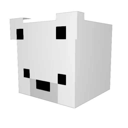 DaveVader456 Minecraft avatar head, 3D render