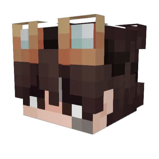 Dave_Ds Minecraft avatar head, 3D render