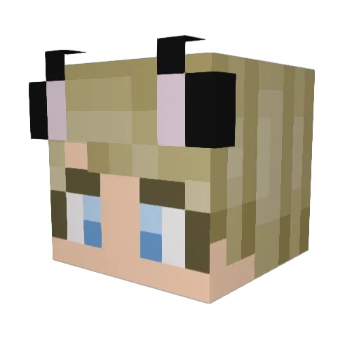 Daveiscool69 Minecraft avatar head, 3D render