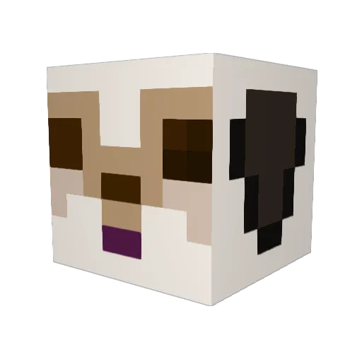 DaveyGunface Minecraft avatar head, 3D render