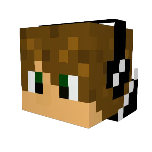DaviD1113 Minecraft avatar head, 3D render