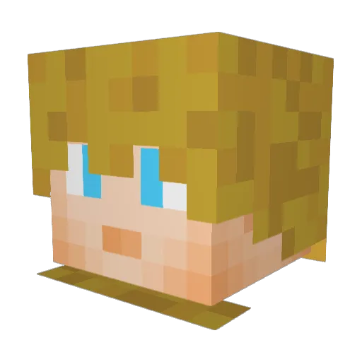 DaviFox2015 Minecraft avatar head, 3D render