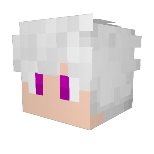 DaviLindo_ Minecraft avatar head, 3D render