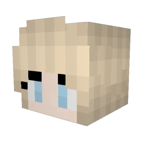 DaviM_ Minecraft avatar head, 3D render