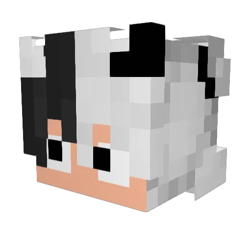 DaviSpadim Minecraft avatar head, 3D render