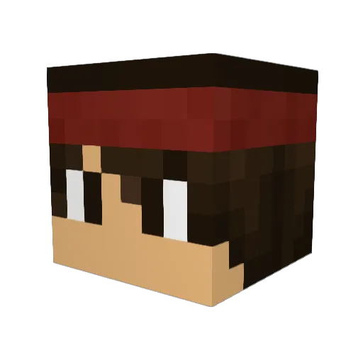 Davi_8 Minecraft avatar head, 3D render