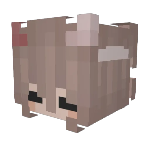 Davi_PlayYT2020 Minecraft avatar head, 3D render