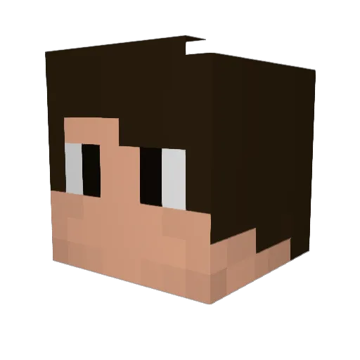Davi_SS Minecraft avatar head, 3D render