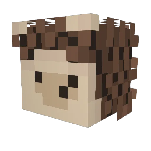 Davich Minecraft avatar head, 3D render