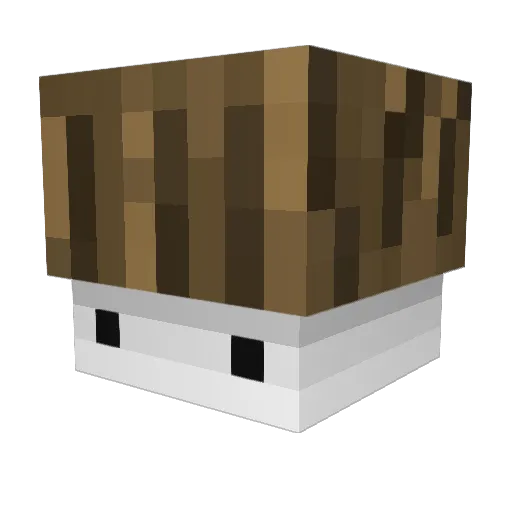 David12Sr Minecraft avatar head, 3D render