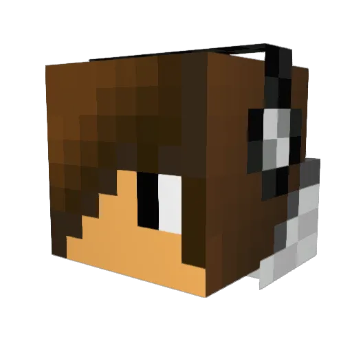 David245 Minecraft avatar head, 3D render