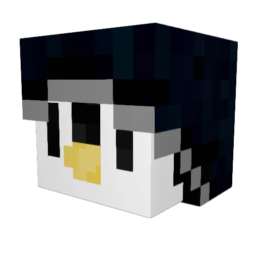 David347 Minecraft avatar head, 3D render