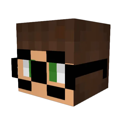 DavidEng99 Minecraft avatar head, 3D render