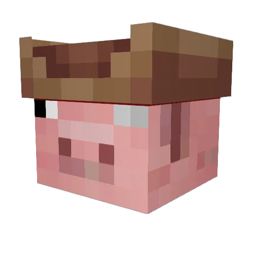 DavidGoodenough1 Minecraft avatar head, 3D render