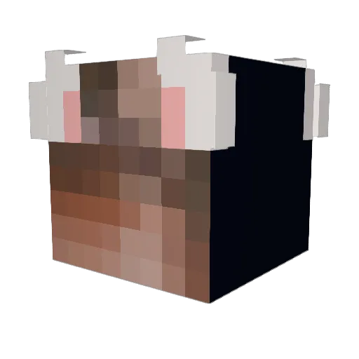 DavidJasperPL Minecraft avatar head, 3D render