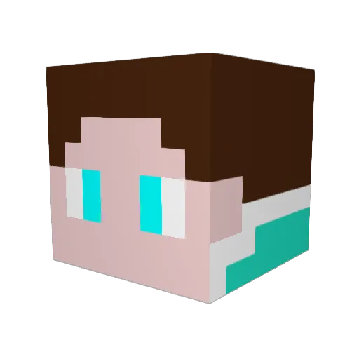 DavidLeung8320 Minecraft avatar head, 3D render