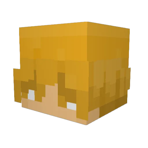 DavidSiu6682 Minecraft avatar head, 3D render