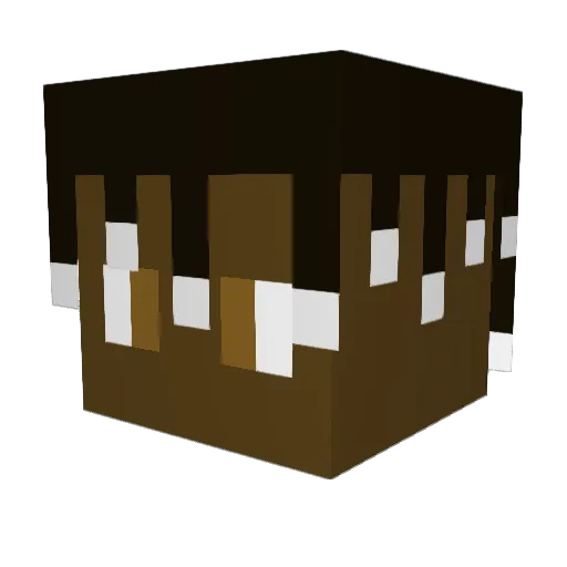 DavidSunnySide Minecraft avatar head, 3D render