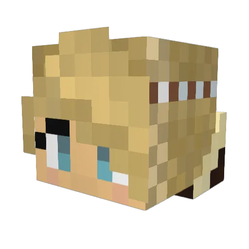 DavidVP02 Minecraft avatar head, 3D render