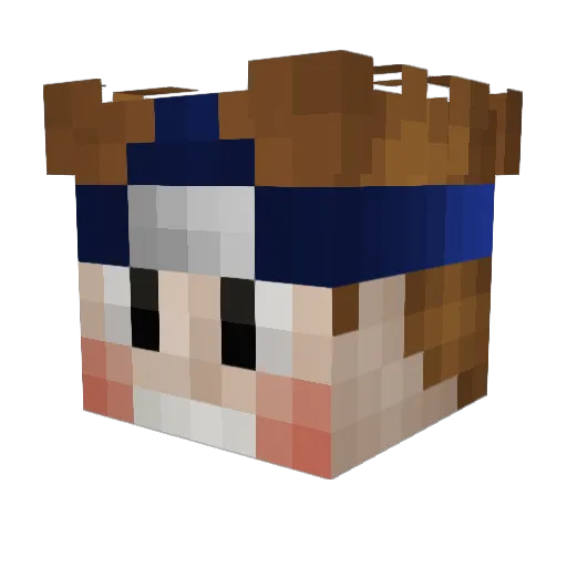 DavidVSTheWLRD Minecraft avatar head, 3D render