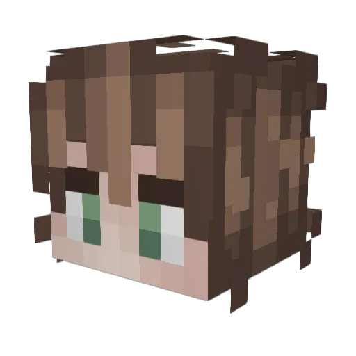 DavidVibe Minecraft avatar head, 3D render