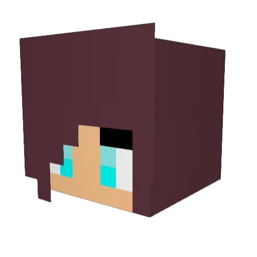 DavidZandvoort Minecraft avatar head, 3D render