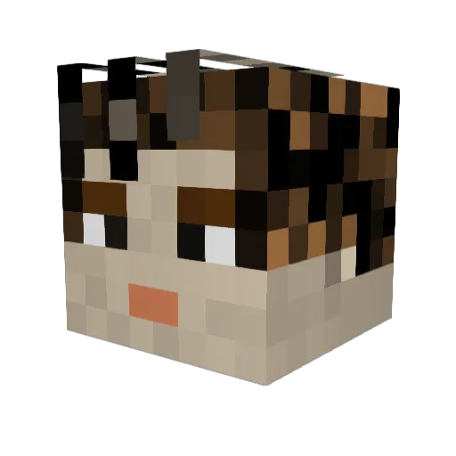 David_Fly_Z_H Minecraft avatar head, 3D render