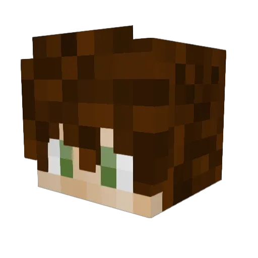 David_Gamer08 Minecraft avatar head, 3D render