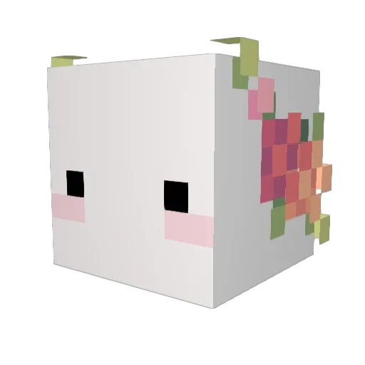 David_Jeru Minecraft avatar head, 3D render