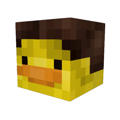 David_The_Gnome1 Minecraft avatar head, 3D render