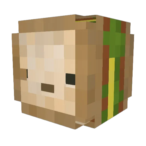 David_idk Minecraft avatar head, 3D render