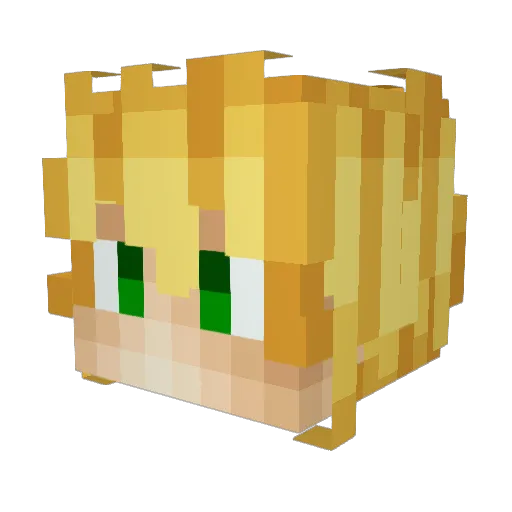 DavideBaldo00 Minecraft avatar head, 3D render