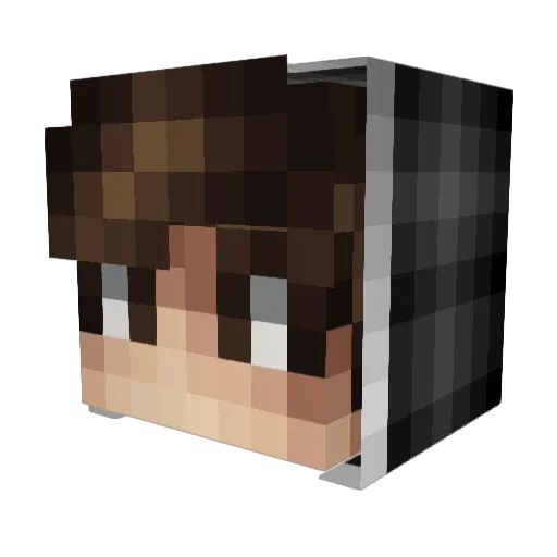 Davidino13 Minecraft avatar head, 3D render