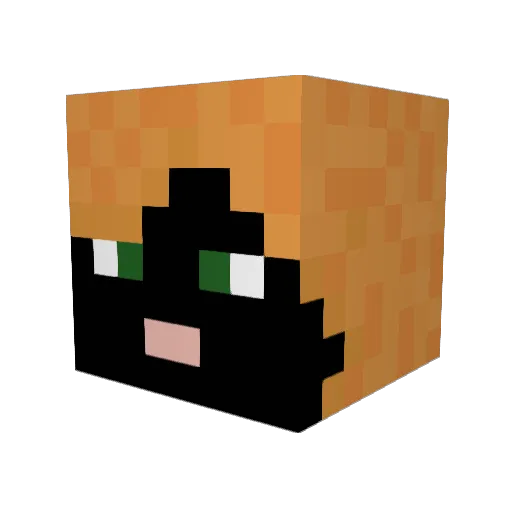 Davidistoopro Minecraft avatar head, 3D render