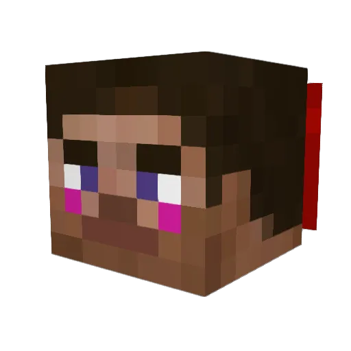 Davidka002296 Minecraft avatar head, 3D render