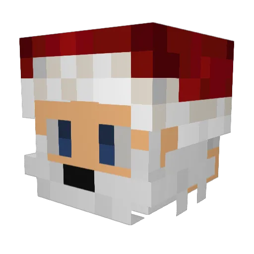 Davidn22 Minecraft avatar head, 3D render
