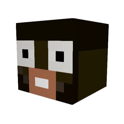 Davids6t Minecraft avatar head, 3D render