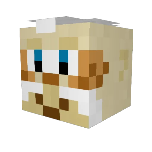 DavidusPrime Minecraft avatar head, 3D render
