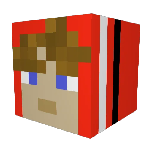 Davidwasthere Minecraft avatar head, 3D render