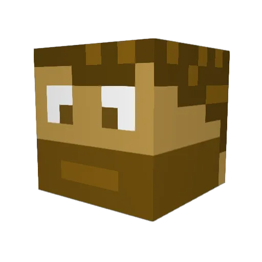Daviid0 Minecraft avatar head, 3D render