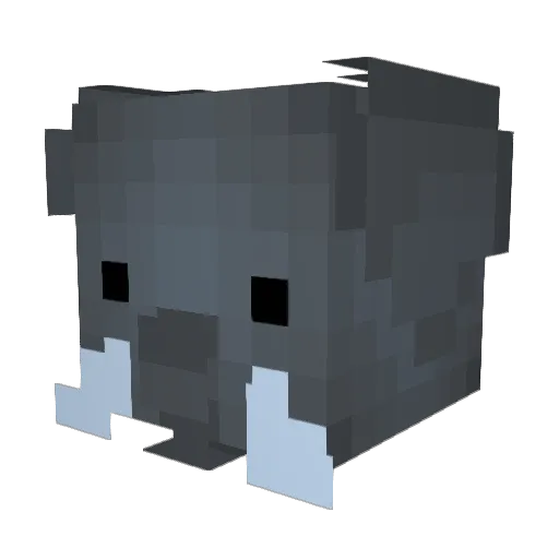 DaviidDavud Minecraft avatar head, 3D render