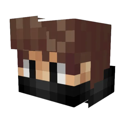 DaviidiiSpeedii Minecraft avatar head, 3D render