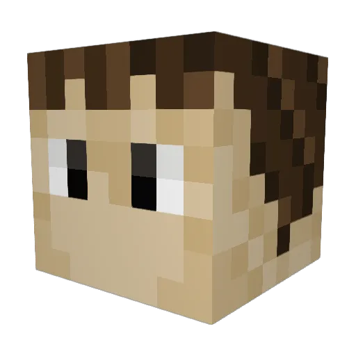 Minecraft-Avatar von Davil544: Kopf als 3D-Render