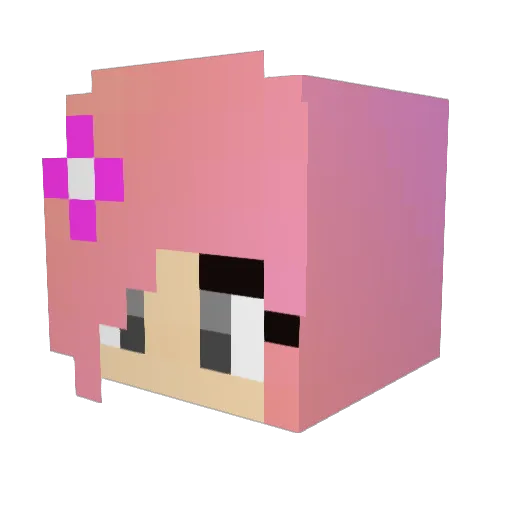 DavinHylton Minecraft avatar head, 3D render